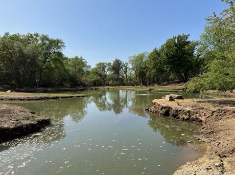Olive Ranch (5/10/2022 - Credits: Placer County)