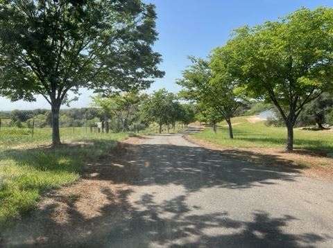 Olive Ranch (5/10/2022 - Credits: Placer County)