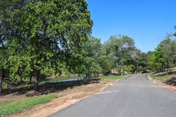Olive Ranch (7/14/2022)