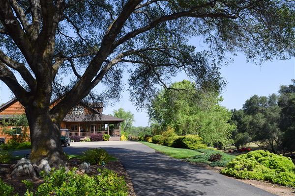 Olive Ranch (7/14/2022)