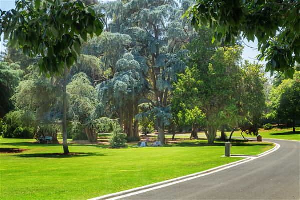 Lacy Park (12/20/2023 - Credits: Photo Courtesy of the City of San Marino)