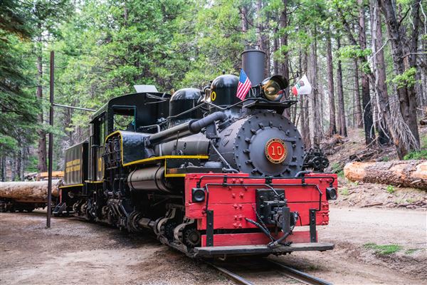 Yosemite Mountain Sugar Pine Railroad (1/25/2024 - Credits: Photo Courtesy of Yosemite Mountain Sugar Pine Railroad)