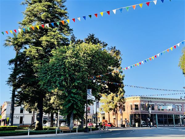 Old Towne Orange Historic District (8/27/2021 - Credits: Digital Marketing Coordinator)