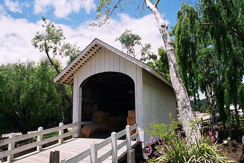 Roaring Camp Railroad (12/31/2003)