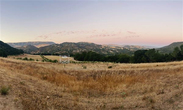 Stonepine Estate, Resort & Equestrian Center - Vineyard Sunset (12/8/2023 - Credits: Oceanne Hentschel)