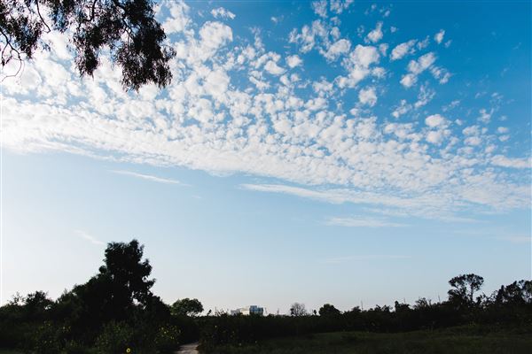 City of Torrance - Madrona Marsh (8/31/2023 - Credits: Augustine Agency)