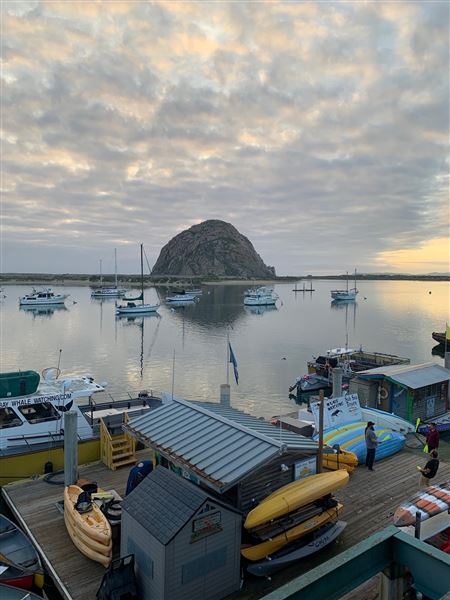 Morro Bay Harbor (4/24/2024 - Credits: Brandy Davis)