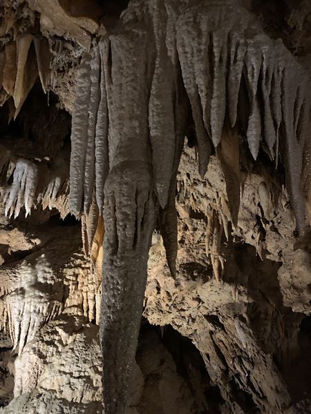 20359 Shasta Caverns Road (5/5/2024 - Credits: Brandy Davis)