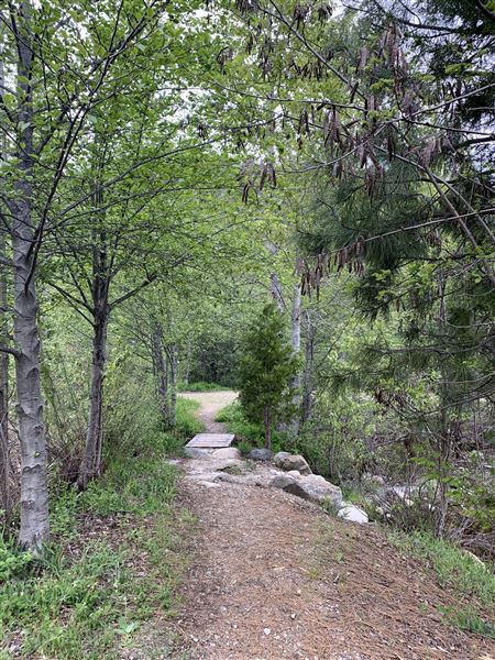 Railroad Park Resort and Dining Car Restaurant (5/5/2024 - Credits: Brandy Davis)