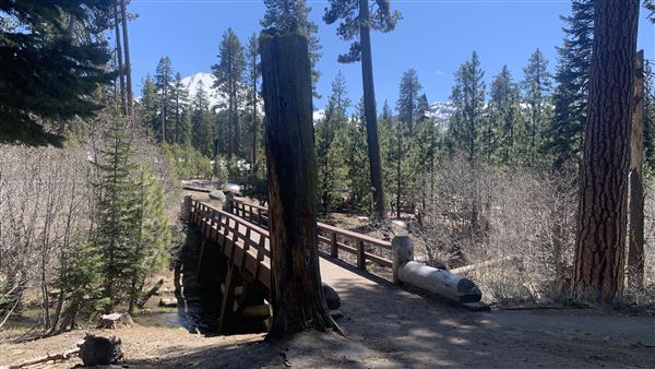 Manzanita Lake (5/3/2024 - Credits: Brandy Davis)