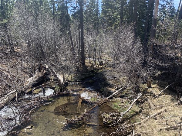 Manzanita Lake (5/3/2024 - Credits: Brandy Davis)