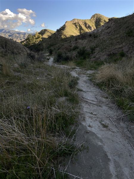 Tranquility Canyon Movie Ranch (5/18/2024 - Credits: Scott Lewis)