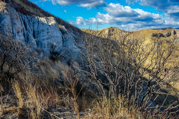 Tranquility Canyon Movie Ranch (5/28/2024 - Credits: Scott Lewis)