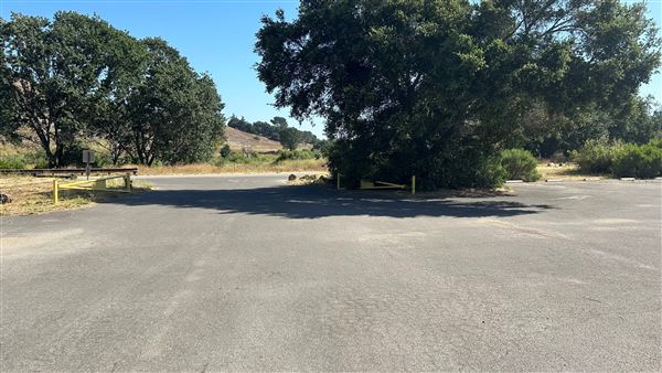 Malibu Creek State Park (SP) - Lower Parking Lot (6/26/2024 - Credits: Brandy Davis)