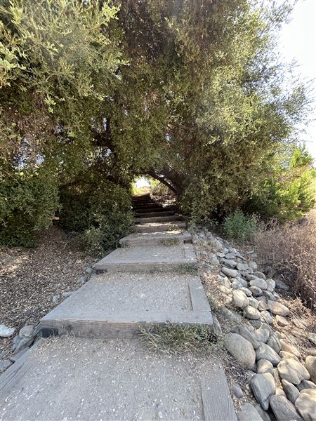 Malibu Creek State Park (SP) - Trail Head and Creek (6/26/2024 - Credits: Brandy Davis)