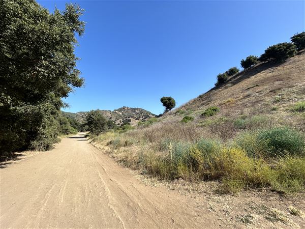 Malibu Creek State Park (SP) - Crags Road (6/26/2024 - Credits: Brandy Davis)