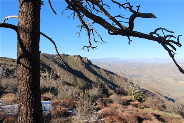Cleveland National Forest (7/2/2024 - Credits: Public Affairs Officer Forest Service)