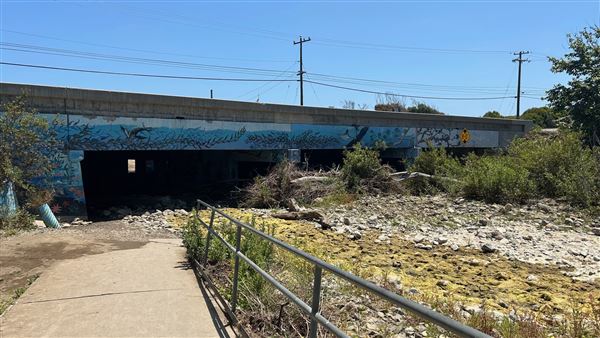 Leo Carrillo State Park and Beach (SP) - Leo Carrillo PCH Underpass (6/26/2024 - Credits: Brandy Davis)