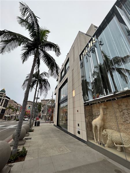 Rodeo Drive - Beverly Hills (7/12/2024 - Credits: Brandy Davis)