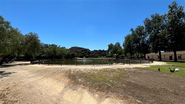Los Encinos State Historic Park (SHP) adjacent to currently closed Lakeside Restaurant & Lounge (7/12/2024 - Credits: Brandy Davis)