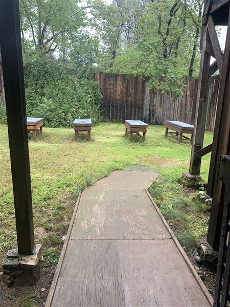 Shasta State Historic Park (SHP) (5/4/2024 - Credits: Brandy Davis)