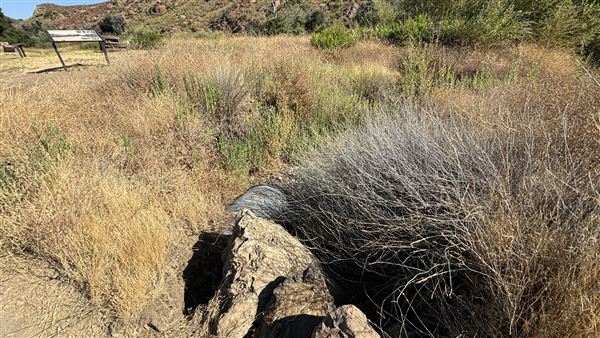 Malibu Creek State Park (SP) - M*A*S*H* Site Location (7/31/2024 - Credits: Brandy Davis)