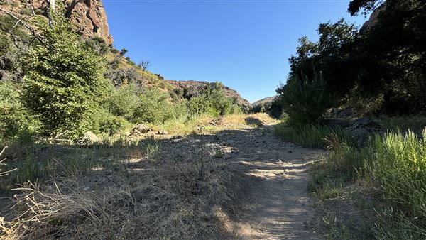 Malibu Creek State Park (SP) - M*A*S*H* Site Location (7/31/2024 - Credits: Brandy Davis)