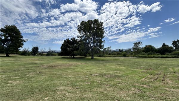 Sepulveda Basin Wildlife Preserve / Woodley Park (8/2/2024 - Credits: Brandy Davis)