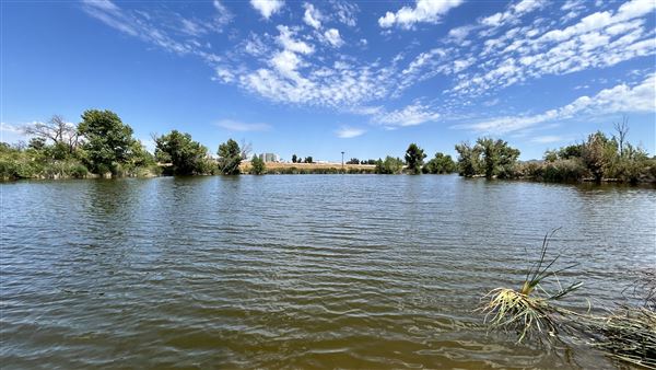 Sepulveda Basin Wildlife Preserve / Woodley Park (8/2/2024 - Credits: Brandy Davis)