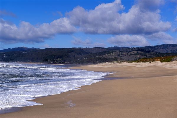 Half Moon Bay State Beach (SB) (8/5/2024 - Credits: Photo Courtesy of California State Parks 2024)