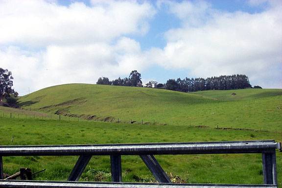 Horick Ranch (12/31/2003)