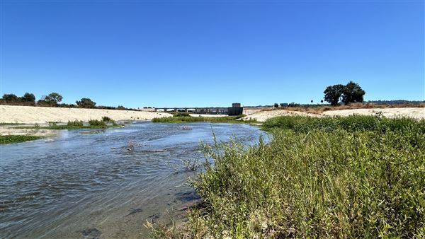 Sepulveda Dam (8/20/2024 - Credits: Brandy Davis)