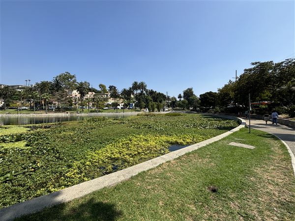 Echo Park Lake Recreation Center (9/17/2024 - Credits: Brandy Davis)