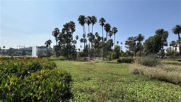 Echo Park Lake Recreation Center (9/17/2024 - Credits: Brandy Davis)