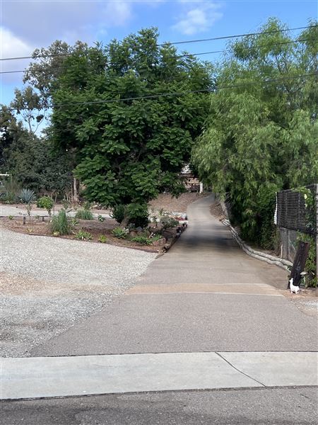 Swan Casa (9/19/2024 - Credits: Robin Swan)