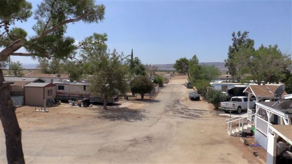 Wee Vill Market in Winterhaven RV Park (8/23/2024 - Credits: Pure Media Marketing)