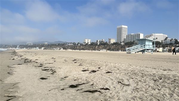 Santa Monica State Beach (SB) / Pacific Park Santa Monica Pier (10/2/2024 - Credits: Brandy Davis)