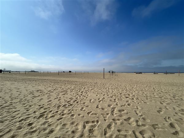 Santa Monica State Beach (SB) / Pacific Park Santa Monica Pier (10/2/2024 - Credits: Brandy Davis)