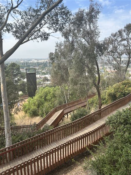 Culver City Park Bill Botts Field - The path up to baseball fields. (10/4/2024 - Credits: Brandy Davis)