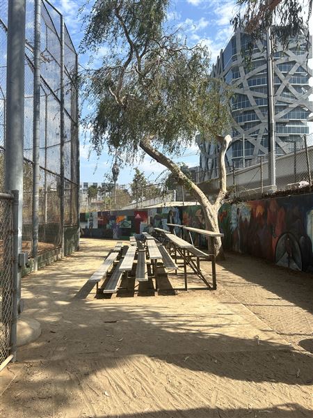 Syd Kronenthal Park (10/4/2024 - Credits: Brandy Davis)