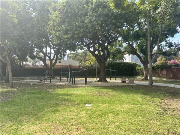 Syd Kronenthal Park (10/4/2024 - Credits: Brandy Davis)