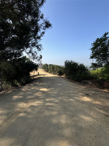 Elysian Park - Angels Point (6/22/2024 - Credits: Brandy Davis)