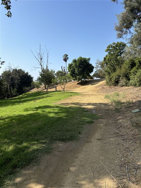 Elysian Park - Angels Point (6/22/2024 - Credits: Brandy Davis)