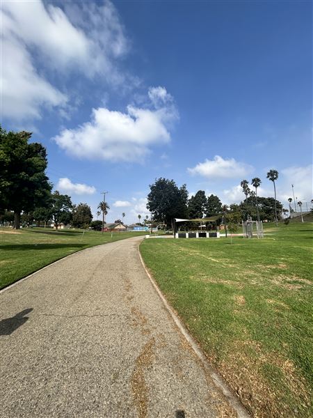 Edward Vincent Park - Paths (10/17/2024 - Credits: Brandy Davis)