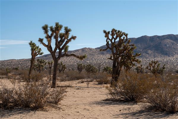 Saddleback Butte State Park (SP) (11/20/2018 - Credits: Brian Baer)