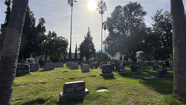 Hollywood Forever Cemetery (11/7/2024 - Credits: Brandy Davis)