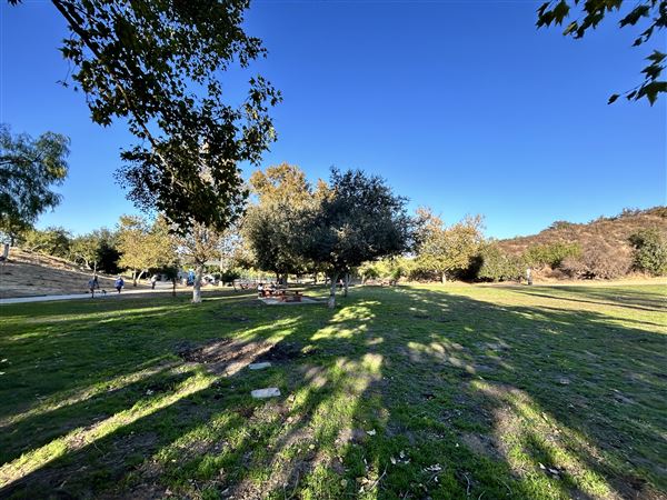 Serrania Park (11/8/2024 - Credits: Brandy Davis)