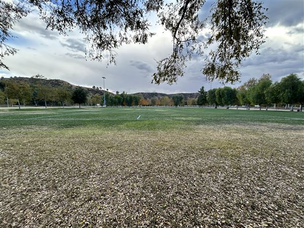 Central Park (11/15/2024 - Credits: Brandy Davis)