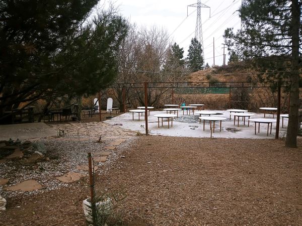 Andrade Grove Family Farm (12/2/2024 - Credits: submitted by: Shauna Tye)