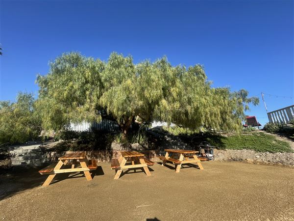 Windrose Ranch (1/23/2025 6:41:10 PM - Credits: submitted by:)